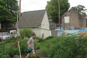 Community Gardens