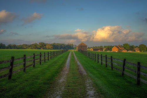 Wolf's Hollow Park